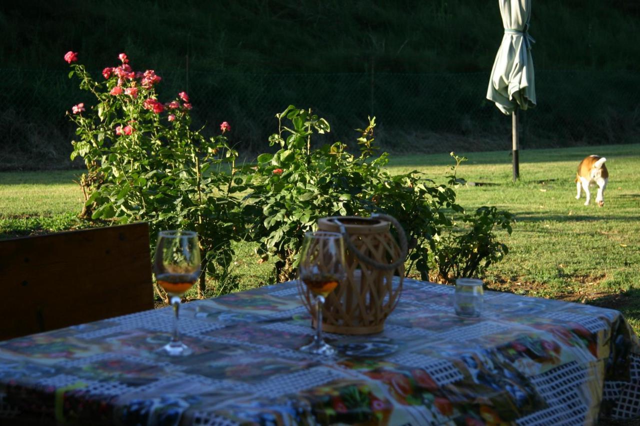 Villa Lilli 2 Ферара Екстериор снимка