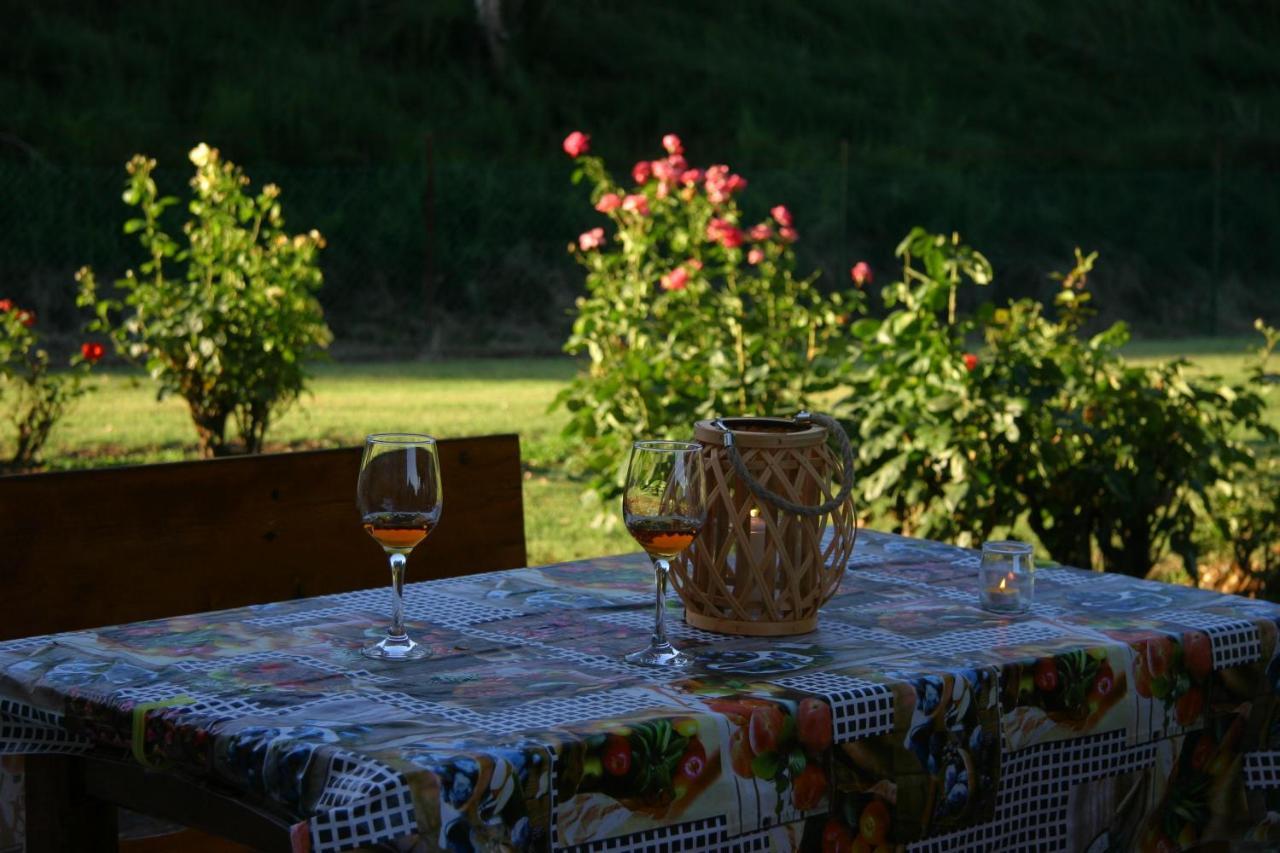 Villa Lilli 2 Ферара Екстериор снимка