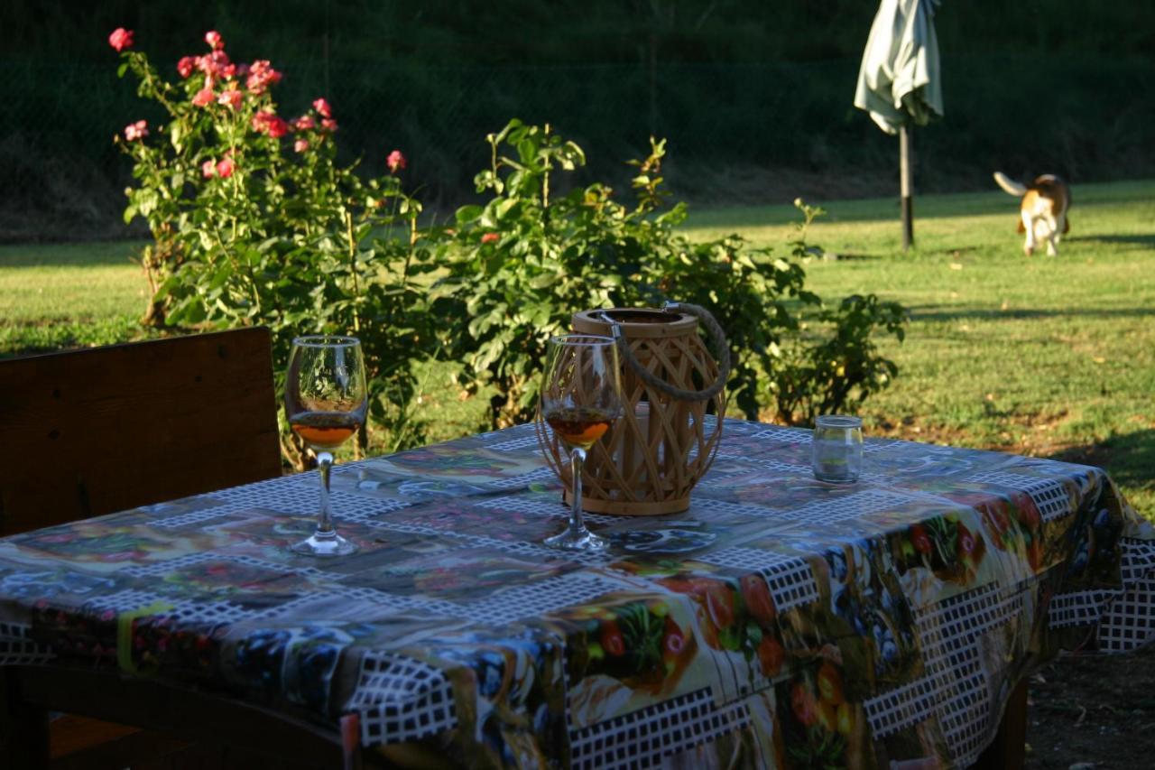 Villa Lilli 2 Ферара Екстериор снимка
